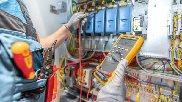 Best Electric Panel Repair  in Alamogordo, NM
